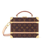 Louis Vuitton Handle Trunk Monogram M11118 Brown